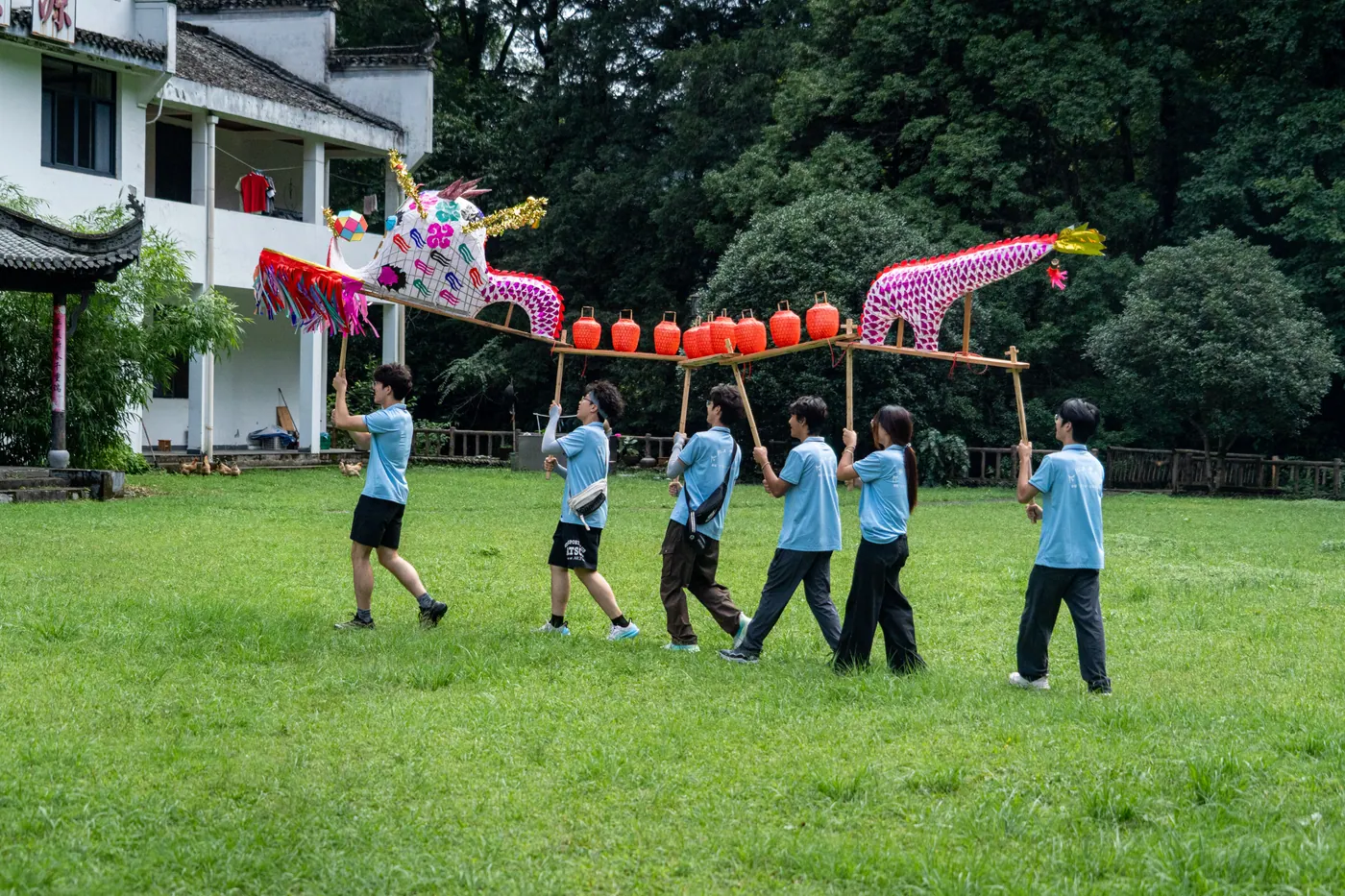 青年们在草地上共同舞动完整的板凳龙